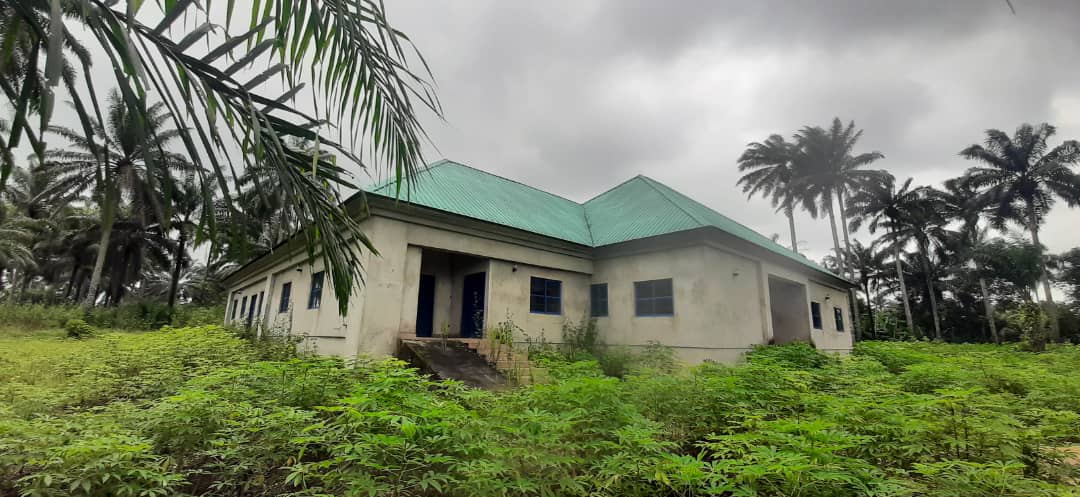 TrackaNG's tweet photo. EXPOSED!!!
This is a multi-million naira skill acquisition centre at Ikot Iyire, Nsit Ubium LGA, Akwa Ibom State, that has been abandoned for over five years now.
The premises been converted to farming land.
#NDDCProjects https://t.co/nQaIOexxrc