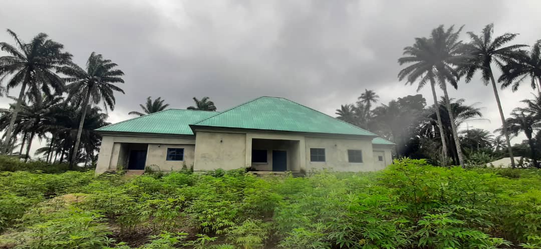TrackaNG's tweet photo. EXPOSED!!!
This is a multi-million naira skill acquisition centre at Ikot Iyire, Nsit Ubium LGA, Akwa Ibom State, that has been abandoned for over five years now.
The premises been converted to farming land.
#NDDCProjects https://t.co/nQaIOexxrc