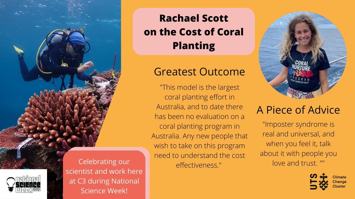 uts_c3's tweet photo. Next on #internationalscienceweek... Rachael Scott and the team @CoralNurture dives into the cost effectiveness of coral planting programs on the Great Barrier Reef.

Read more about Rachael's and others work in the Future Reefs group below. 
https://t.co/mHvmmw01t3

@UTS_Science https://t.co/nmPMDUB5Tp