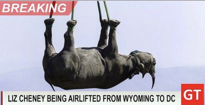 robbystarbuck's tweet photo. BREAKING NEWS: Liz Cheney is being moved back to her natural habitat! 🙏🏼 https://t.co/1k5xN5e3GH
