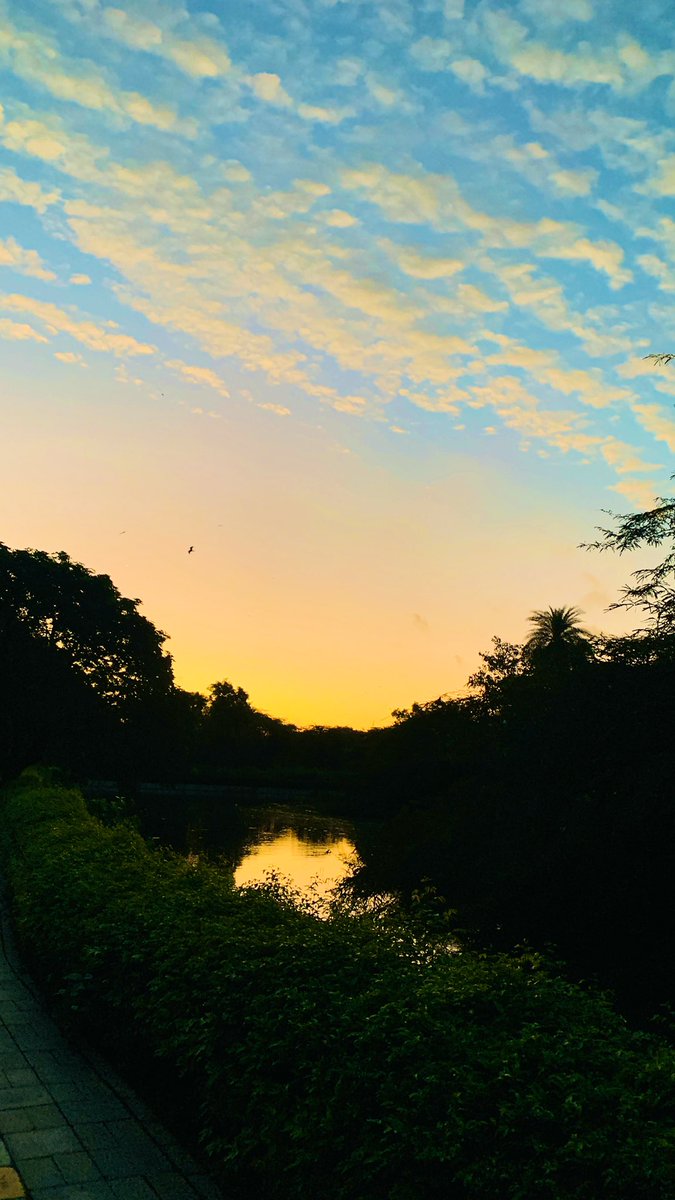 NzpDelhi's tweet photo. A beautiful morning for #25km walk  @NzpDelhi #IFS #WALKINGTEST @moefcc @CentralIfs https://t.co/Q2zYX6mTe7