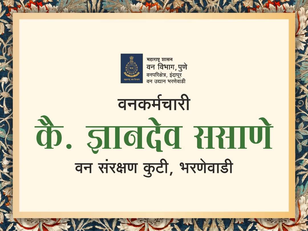 Pune Forest tweet media