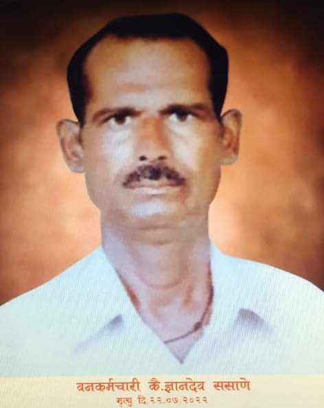 Pune Forest tweet media