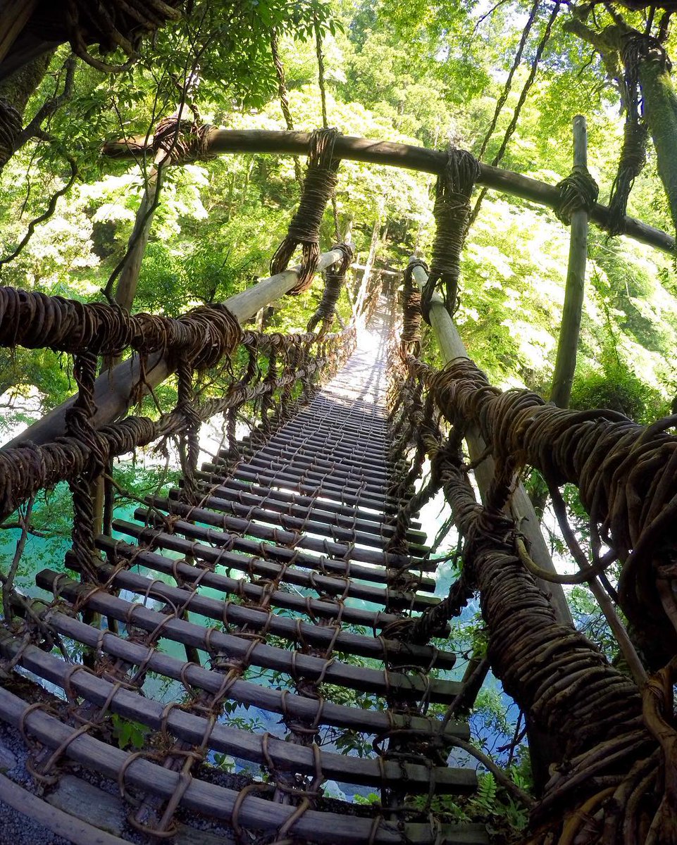 こちらは、大きな隙間のある足場でゆらゆら揺れるので、圧倒的なスリルが楽しめる徳島県のある吊り橋でございます。🌿 🌉足元ゆらゆらスリル満点吊り橋5選 ☟ https://t.co/w3TlehnnE1 photo by mai_byn さん（IG）