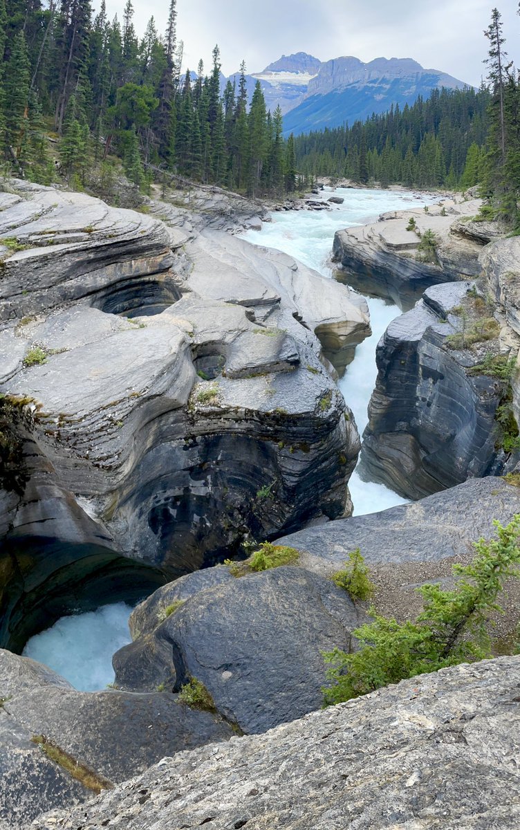 KidTripster's tweet photo. Driving the Icefields Parkway from Lake Louise to Jasper… epic scenery!

@ParksCanada @banfflakelouise 
#mybanff https://t.co/co4U1PlY8k