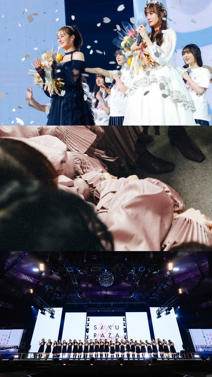 katamiraiwo's tweet photo. Click on each photo for a surprise! 🤍🌸 #櫻坂46 https://t.co/7xBMNQF0lt