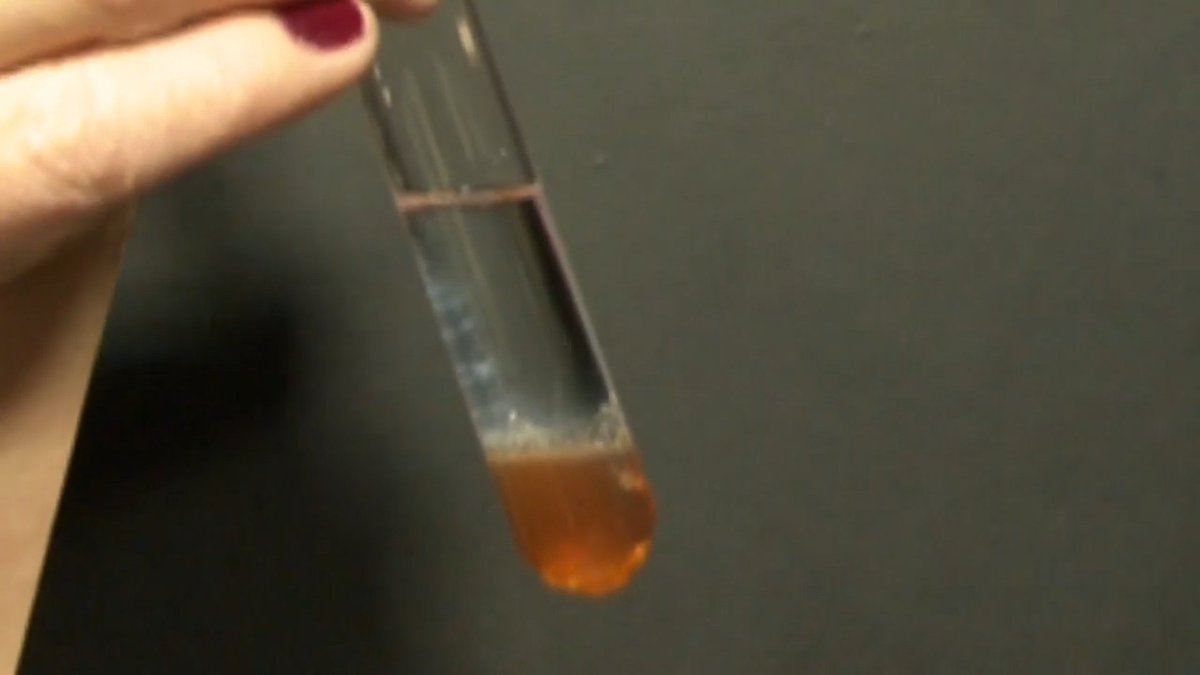 Helen Rushby, PhD tweet media