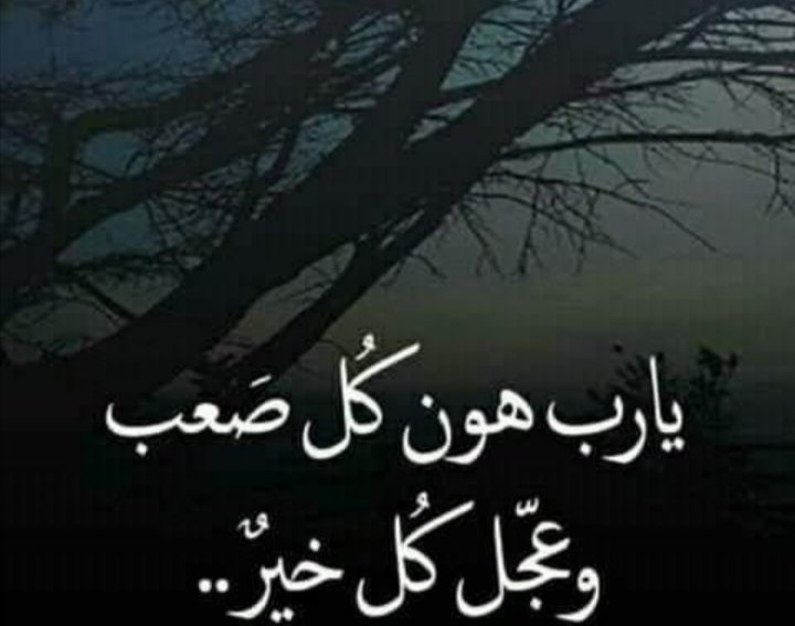 NehadAboraya's tweet photo. https://t.co/CtJrqVrdBA