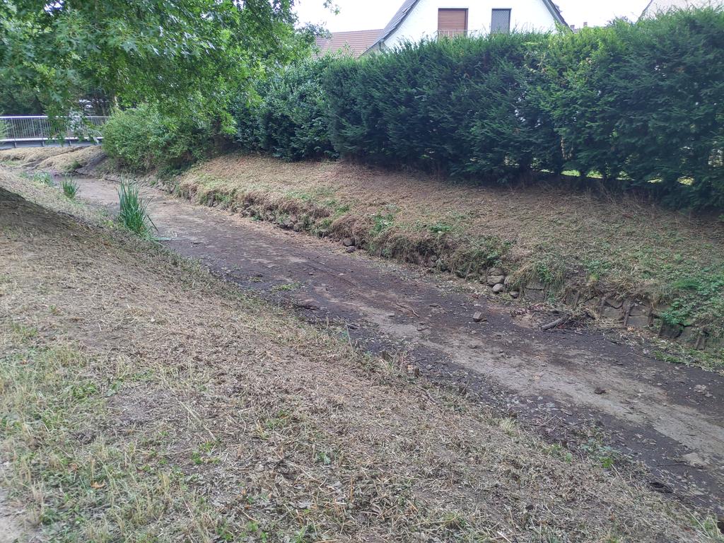 veloman_nrw's tweet image. #Rotbach ausgetrocknet. Ohne Worte.
#Dinslaken #Niederrhein #Radfahren #MdRzA