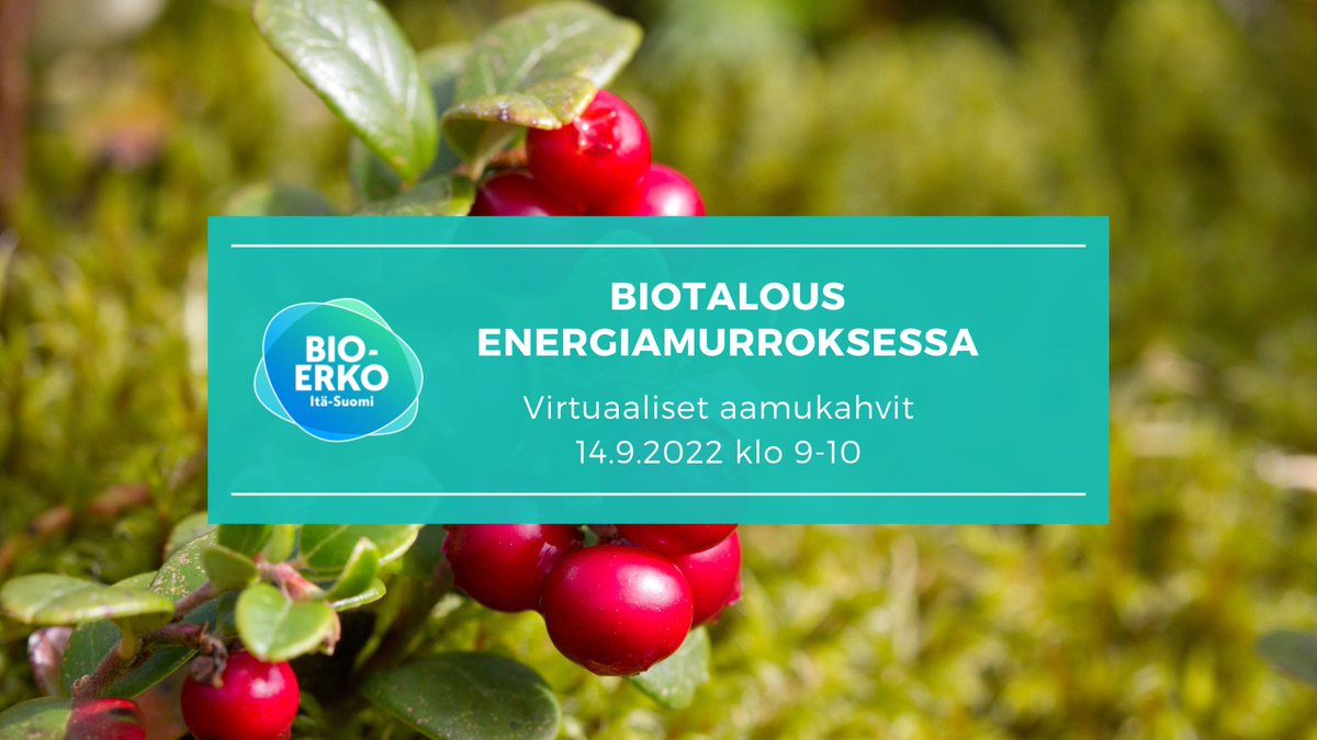 BiotaloudenERKO's tweet photo. #Biotalous energiamurroksessa - tervetuloa erittäin ajankohtaisille aamukahveille 14.9.22! Aiheesta alustamassa @harrilaurikka. 

Katso ohjelma ja ilmoittaudu mukaan: https://t.co/mb9vcYo95Q

#energia #bioenergia
@Karelia_amk @UniEastFinland @SavoniaAMK https://t.co/Wni4NM93MR