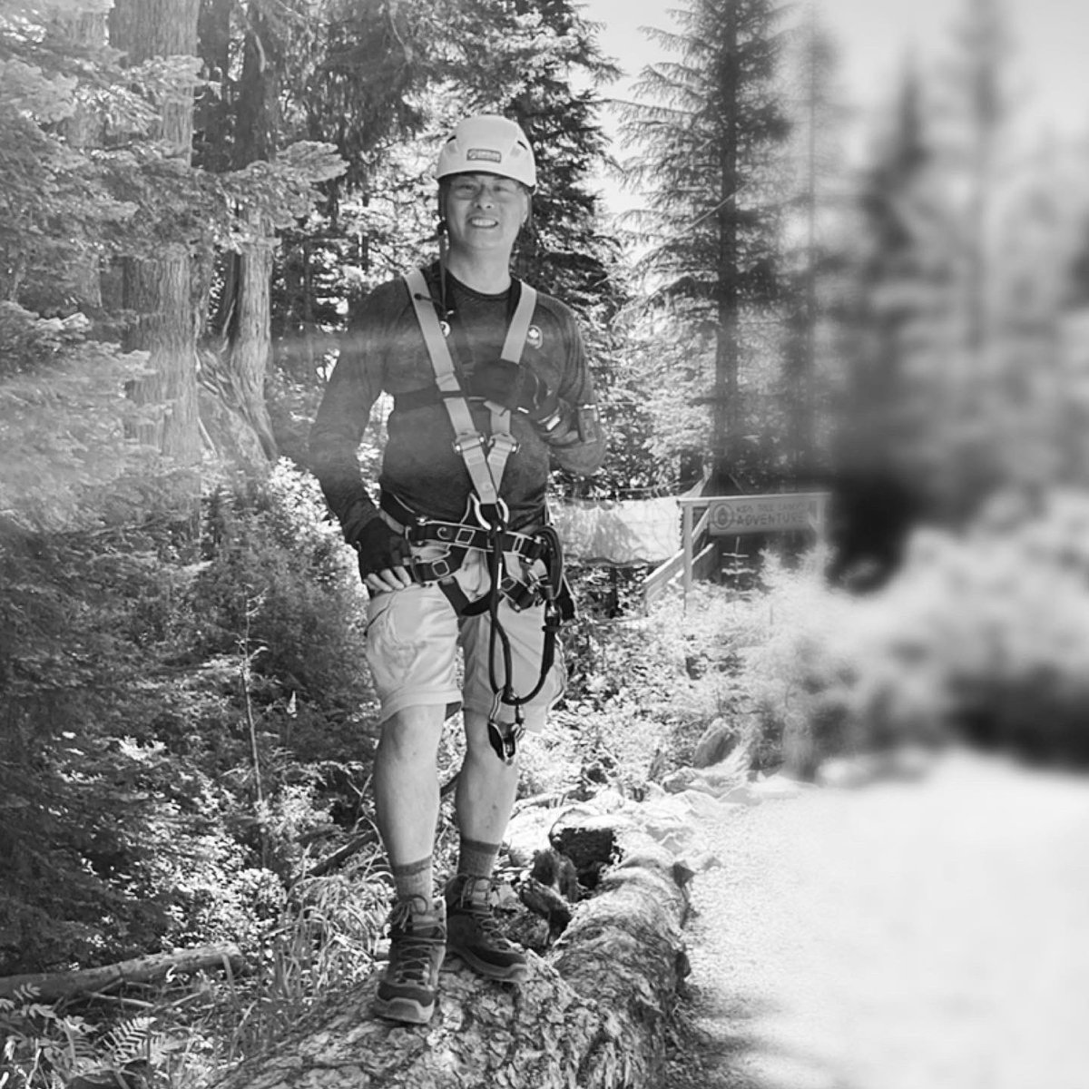 richardliu18's tweet photo. The #PathLessTraveled Which one would you take? #StayFit #Summer2022 #Ziplining #familytime https://t.co/vCThG9be6D