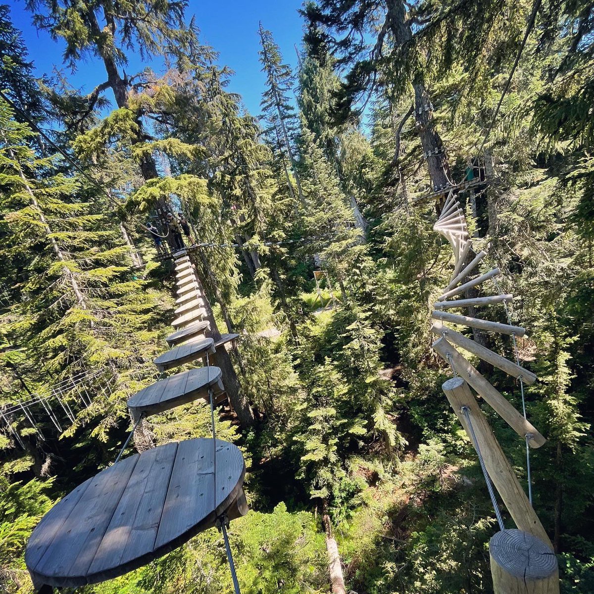 richardliu18's tweet photo. The #PathLessTraveled Which one would you take? #StayFit #Summer2022 #Ziplining #familytime https://t.co/vCThG9be6D