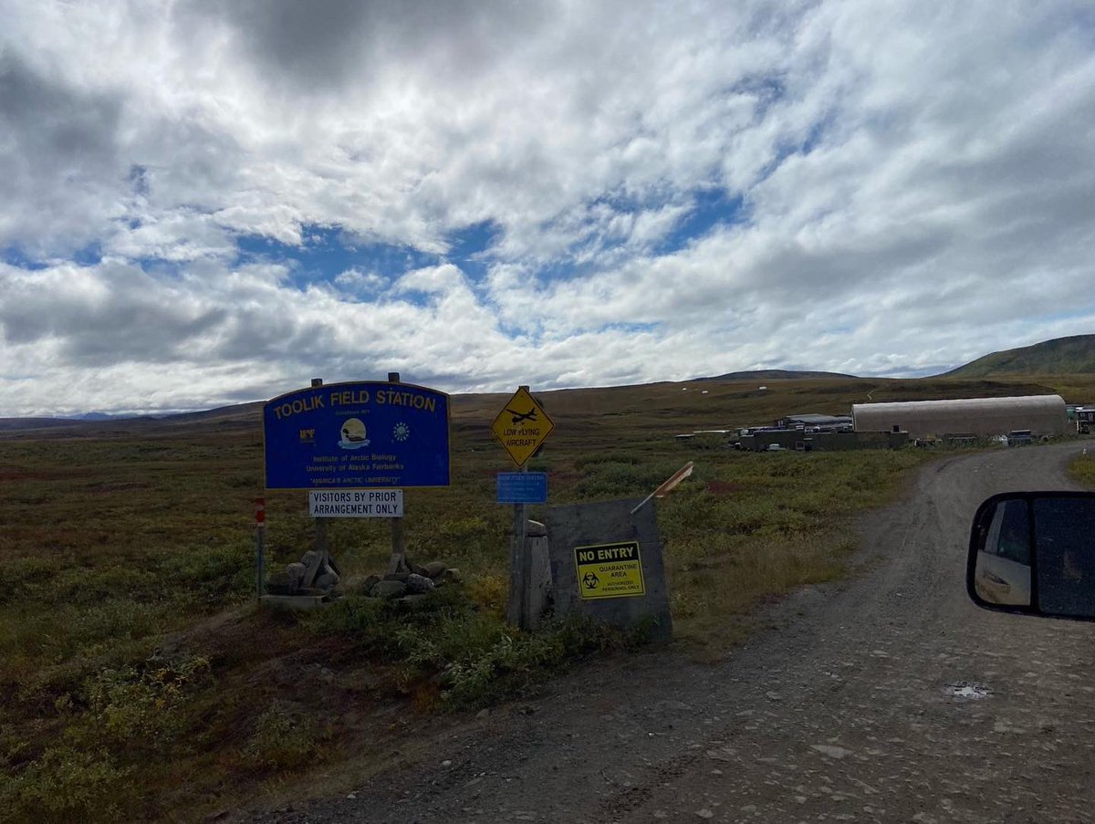 IGEA_UMASS's tweet photo. Group 3 made it to Toolik! After 8 days of quarantine and over 9 hours of driving we finally made it and are starting our field work tomorrow! https://t.co/JWiNHT4XOb