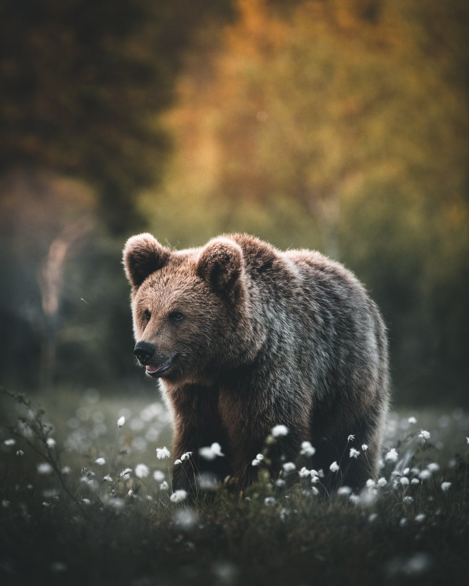 Don’t wait for the perfect moment, take the moment and make it perfect.