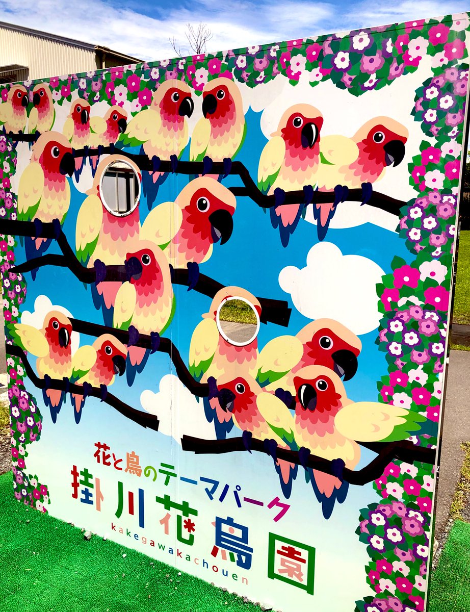 「顔出し看板のクセが強い 」|あひを🐤のイラスト