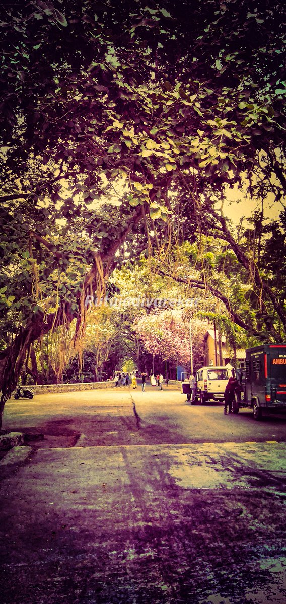 rutu_adi's tweet photo. I need u like a heart needs a beat❤️
#rutu_adivarekar
@rutu_adi

#lovenature #아름다운자연 #사랑해 #NaturePhotography #artgallery #artoftheday #nature #memories #Explore #foryou #Picrew #natural #instagood #mood #edits #photooftheday #photo #art #artwork #photoshoot #like #India https://t.co/8sTCnT5Wjc