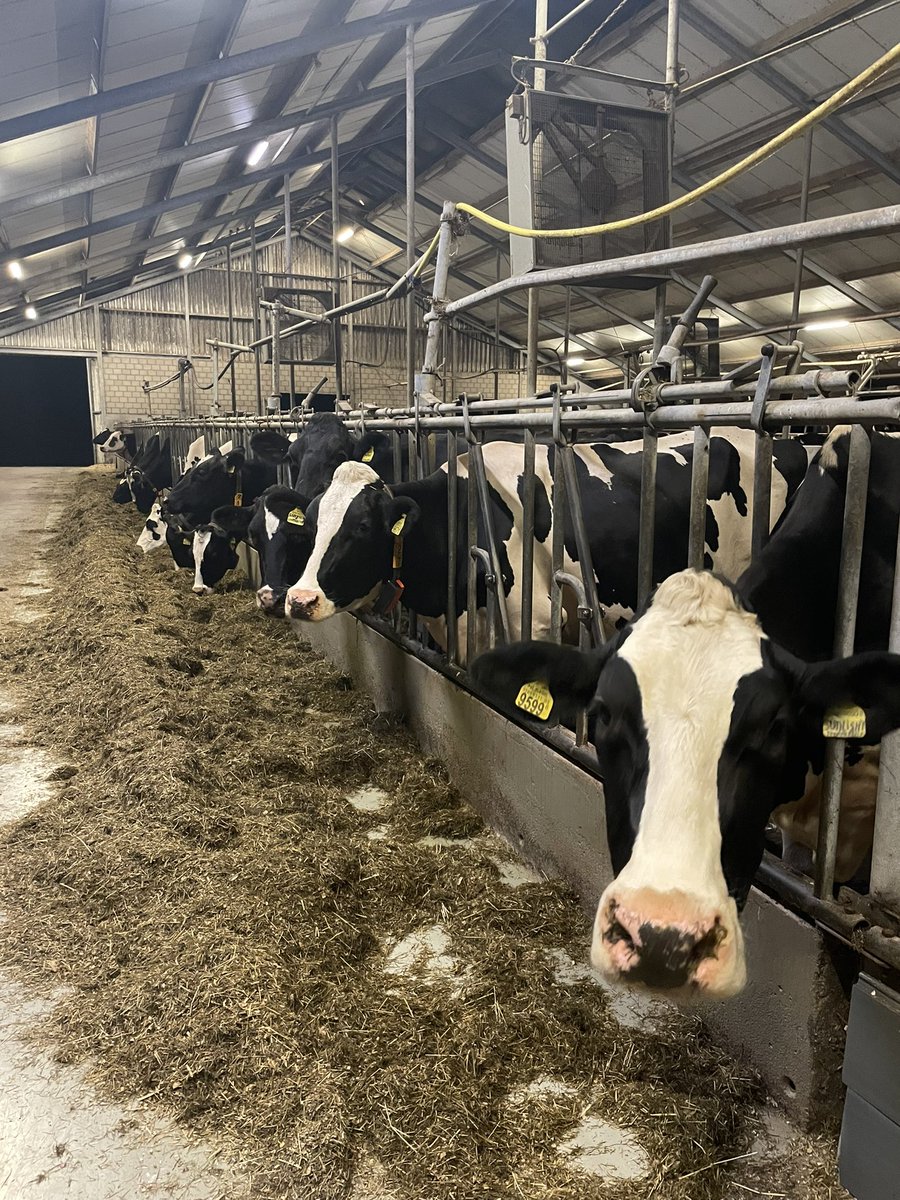 Gisteravond goed en open gesprek over de agrarische sector in nationaal landschap Winterswijk met Stefan te Selle. Dank voor rondleiding op je mooie bedrijf en alle informatie.