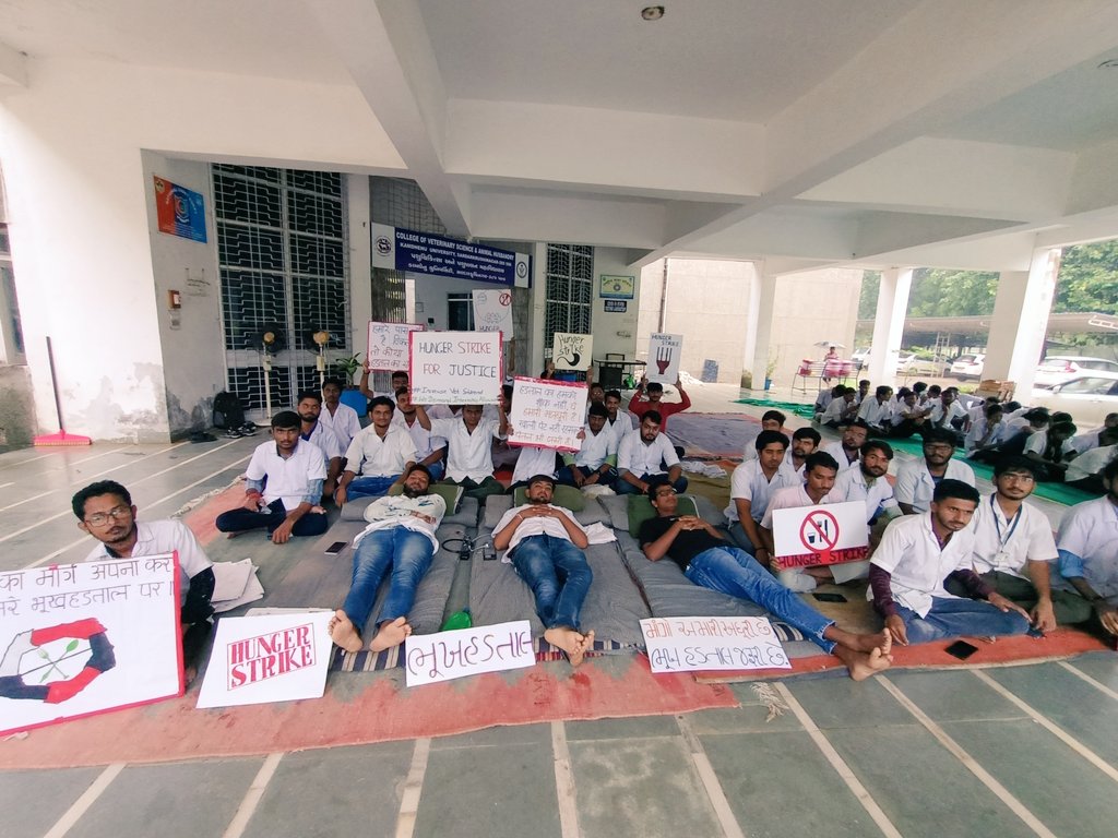 કામધેનુ યુનિવર્સિટી અંતર્ગત દાંતીવાડા કોલેજનાં વિદ્યાર્થીઓ છેલ્લા16 દિવસથી હડતાળ ઉપર છે. અને 3 વિદ્યાર્થીઓ 24 કલાકથી ભૂખ હડતાળ ઉપર ઉતર્યા છે. અમારી માંગ છે કે Internship માં મળતું ભથ્થું 4200 થી 18K કરવામાં આવે🙏 <a href="/CMOGuj/">CMO Gujarat</a> <a href="/Bhupendrapbjp/">Bhupendra Patel</a> <a href="/KanuDesai180/">Kanu Desai</a> <a href="/RaghavjiPatel/">Raghavji Patel</a> #hungerstrike