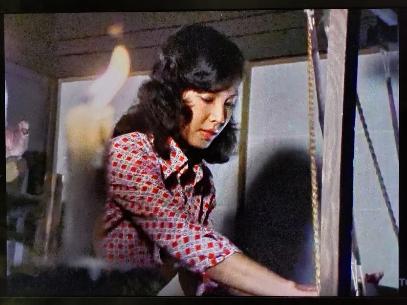 エテキチ on Twitter: 電子戦隊デンジマン 35 謎のはたおり姫より、ドクガラー人間態 岡道子役 青木純さんです。ひたすら ...