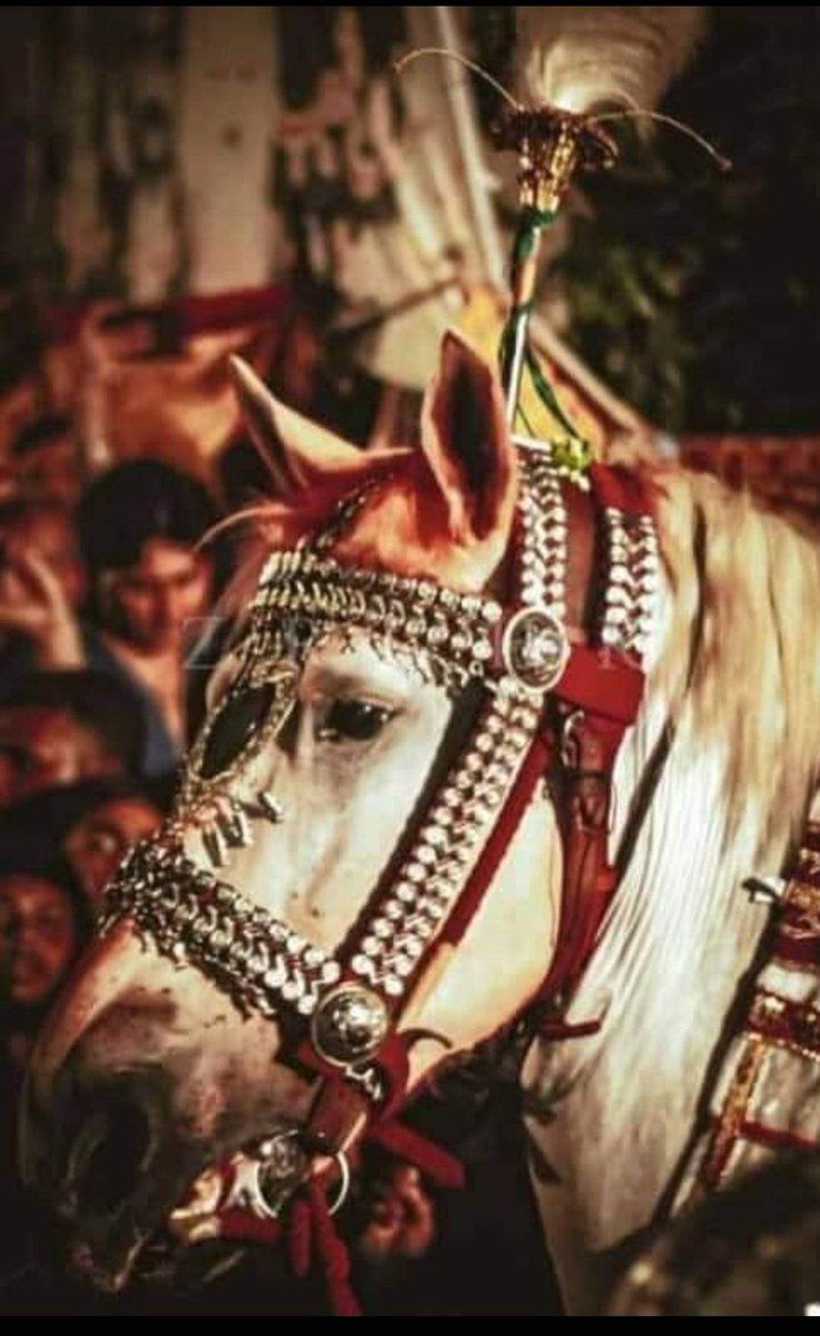 _azadareHussain's tweet image. جب انسانوں میں انسانیت ختم ہو گئی تھی
تب مرتجز  نے کہا تھا لبیک یا حسین ص😭💔