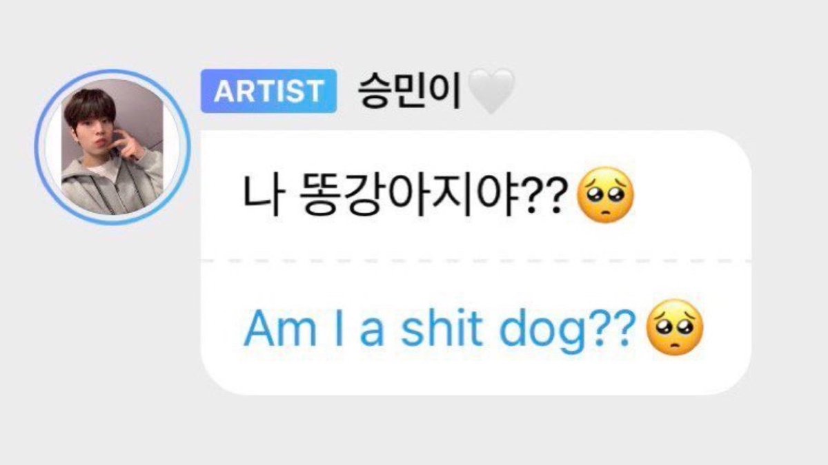 dailyseung2's tweet photo. HELP they know about "am i a shit dog??🥺" THIS IS SO FUNNY https://t.co/6Epn4ElzsN