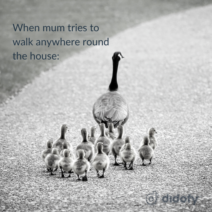 Didofy tweet media