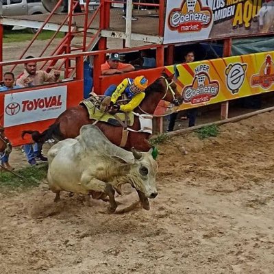 augustoapicella's tweet photo. #NewProfilePic https://t.co/na4AW4q7Ma