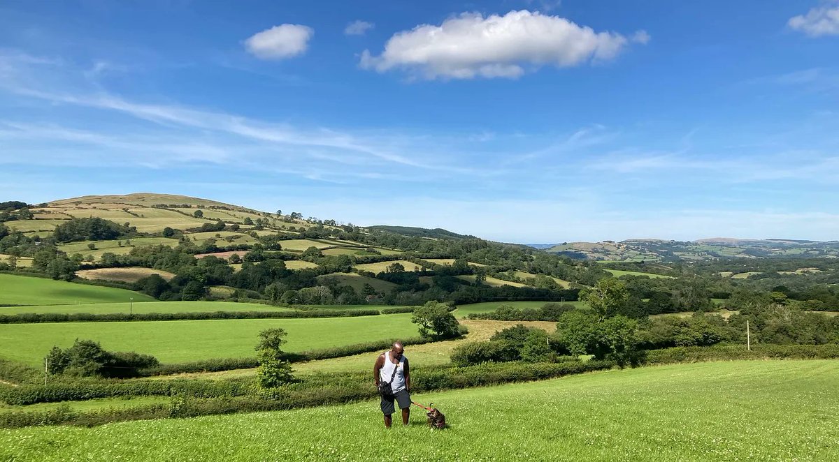 BritBeerBreaks's tweet image. 'Are these the dog days of travelling around Britain?' asks @traveltappers in our latest blog post, as she charts the growing number of destinations catering for canines - and that includes pubs, as @philmellows notes...