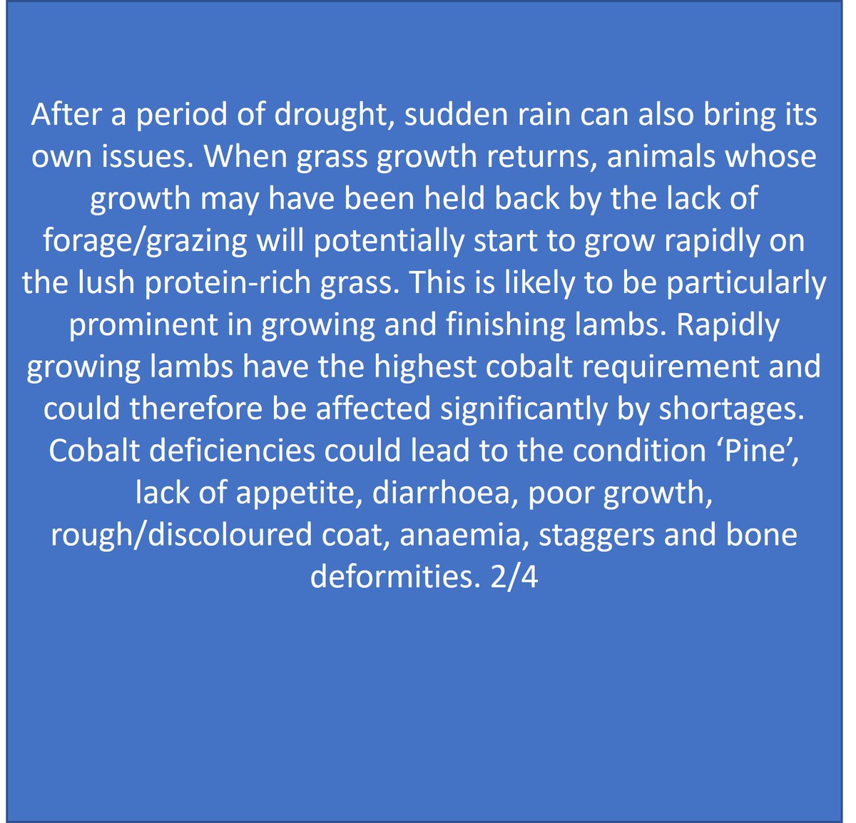 FarmsenseUK's tweet photo. How could the weather impact the nutrition of your sheep?  #farming #sheep #livestock #livestocknutrition #flockhealth https://t.co/UeXL1kFQVq