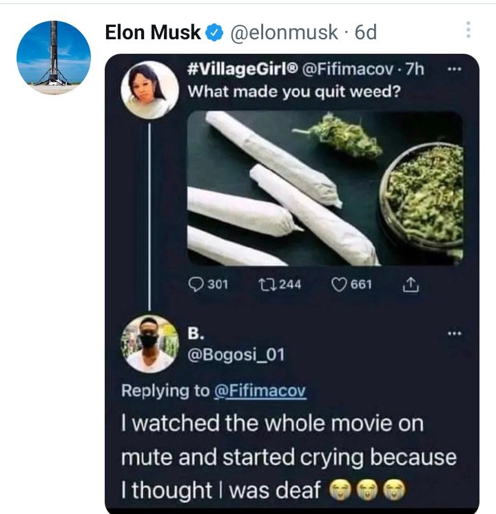 MichaelJr1922's tweet photo. That's why Musk quitted weed😆😆😆 https://t.co/5vmamxr9bI