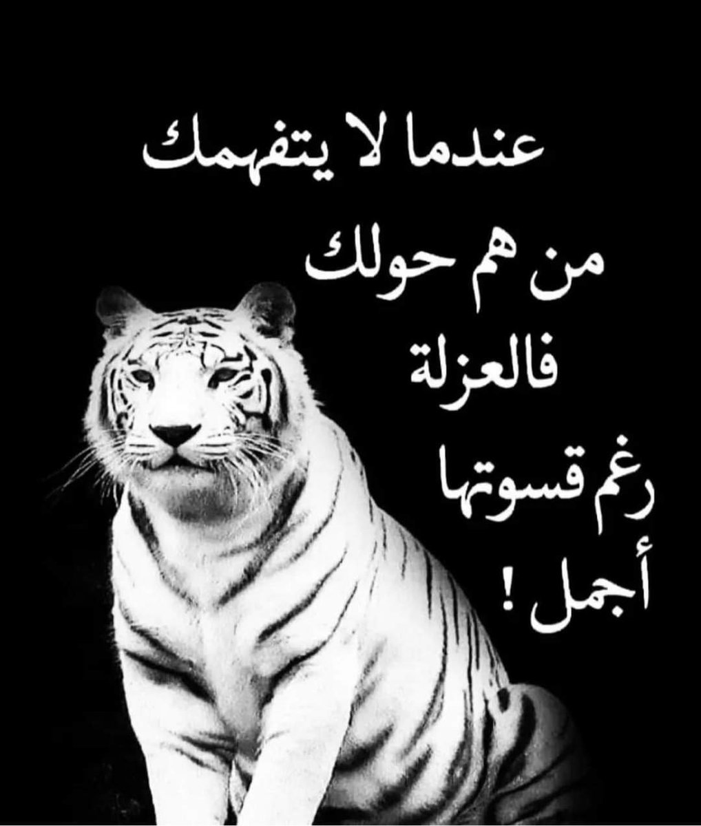 Ehab EL Sherif (@alshryfayhab) on Twitter photo 