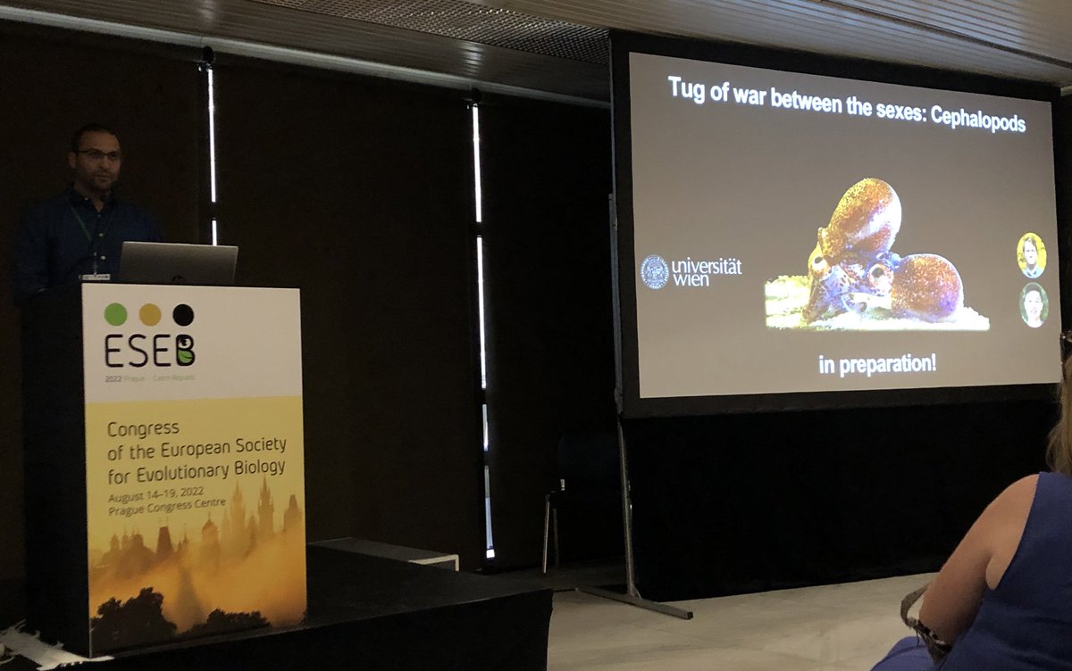 limariaph's tweet photo. Amazing talk about sex-biased gene expression in ciclids and an ongoing project in cephalopods by @NikoLichii Proud wife! #ESEB #ESEB2022 https://t.co/gjb6D0lQUM