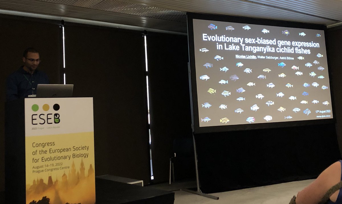 limariaph's tweet photo. Amazing talk about sex-biased gene expression in ciclids and an ongoing project in cephalopods by @NikoLichii Proud wife! #ESEB #ESEB2022 https://t.co/gjb6D0lQUM
