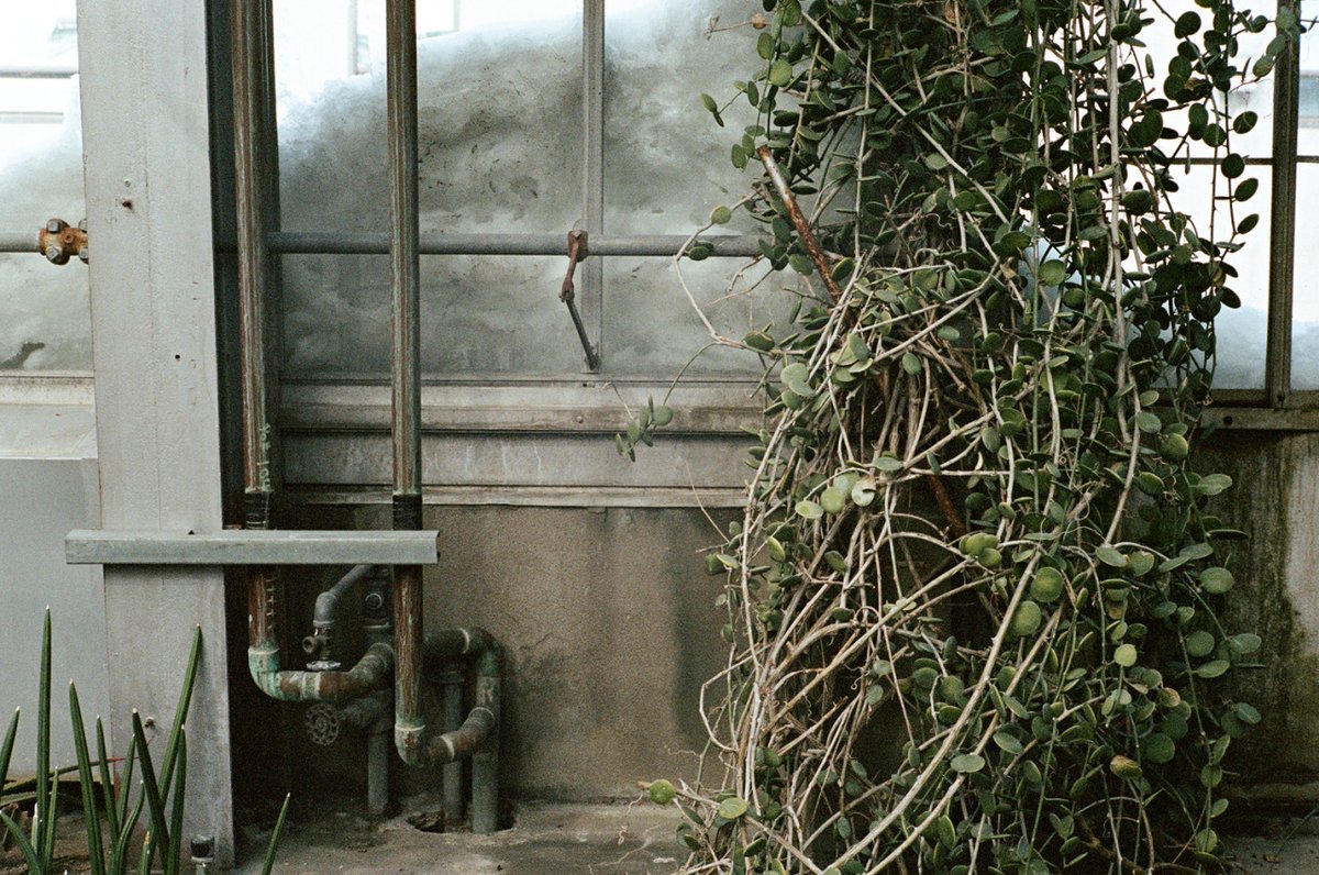 archillect's tweet image. 