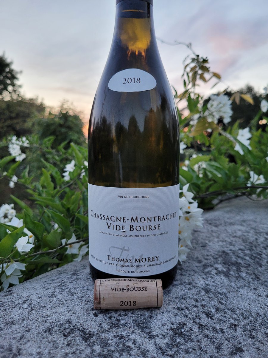 Stannary_Wine's tweet photo. From a small 0.19ha plot, #ThomasMorey makes a #ChassagneMontrachet with serious tension. Only a maximum of 15% new oak. A gem for the cellar if you can find it. https://t.co/njenK6q4V9