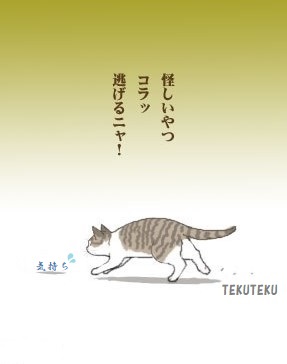 気持ちが落ちている😑🐈ニャ~!
不安定な天気・気圧のせいかな😅 