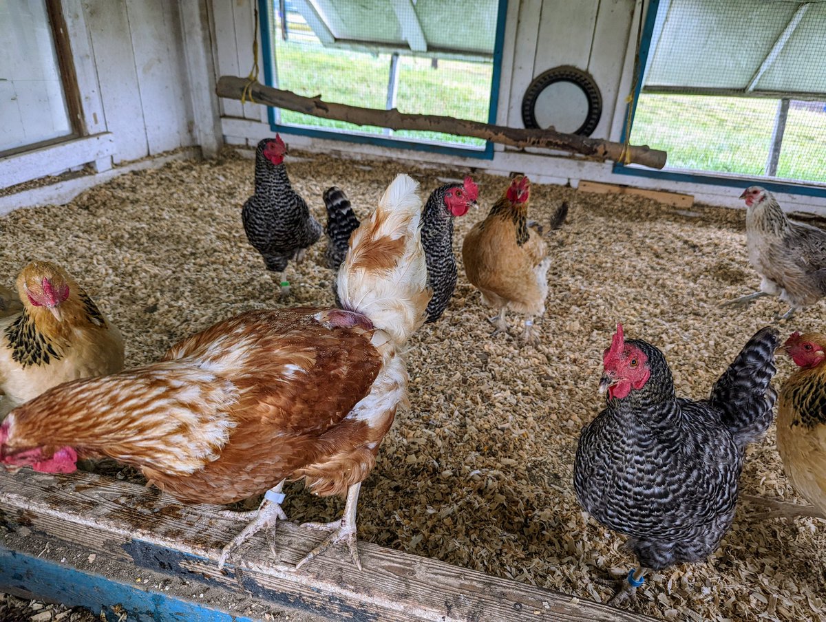 DocBohn's tweet image. Good morning