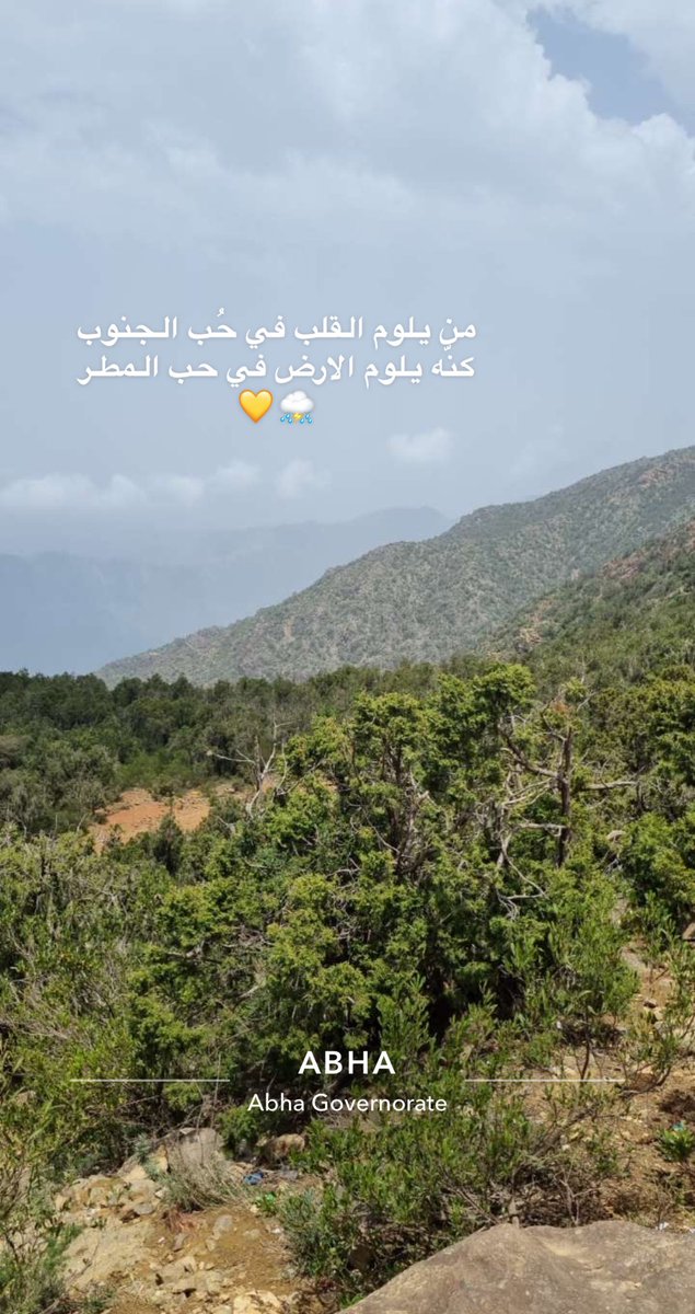 إتحادية💛🖤سعودية وافتخر 🇸🇦وأحب مصر🇪🇬 (@amalhyati14) on Twitter photo 