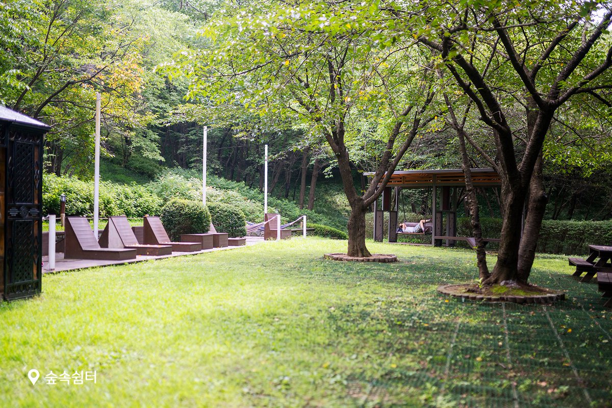 sdmtong's tweet photo. 도심 속 숲에서 만나는 4색(色) 매력🌳

#연희숲속쉼터 속 각각의 공간마다 다른 매력을 느낄 수 있답니다~😍🥰

여러분은 어느 공간이 마음에 드세요❓

📷 사진 속 장소 📷
1. #허브원
2. #숲속쉼터
3. #벚꽃마당
4. #잔디마당
👀 공간 더보기👉https://t.co/EoXzqj1nLv https://t.co/im5BDDm6HE