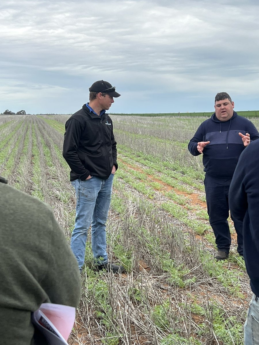 MsfMallee's tweet image. Rounding up for the day Robust Ground Cover @desertfarmer84 talks challenges &amp;amp; rewords of strip &amp;amp; disc system on farm. Watch this space as #msfprojects investigate further with more demos coming! @Moodie_ag @MalleeCMA #FutureDroughtFund #mallee