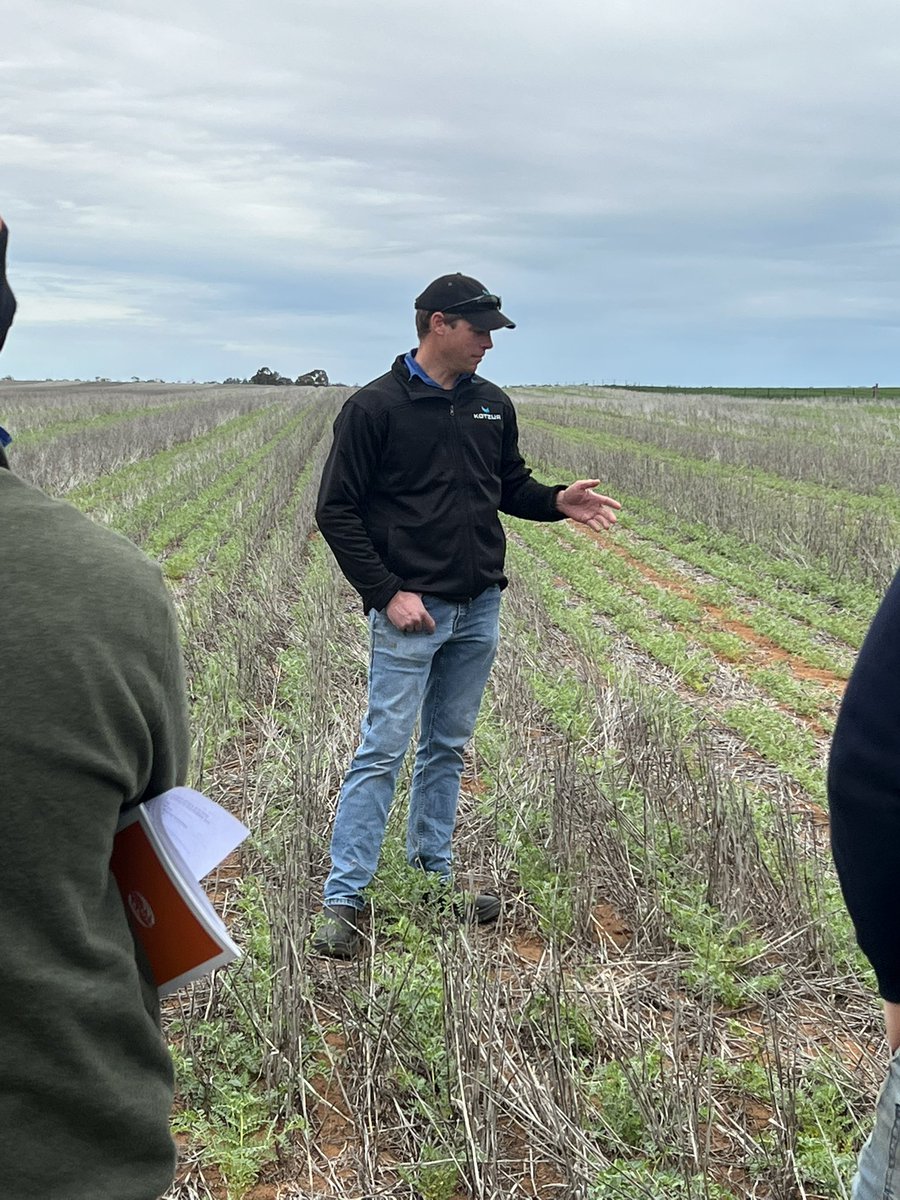 MsfMallee's tweet image. Rounding up for the day Robust Ground Cover @desertfarmer84 talks challenges &amp;amp; rewords of strip &amp;amp; disc system on farm. Watch this space as #msfprojects investigate further with more demos coming! @Moodie_ag @MalleeCMA #FutureDroughtFund #mallee