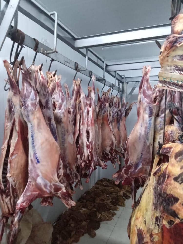 ZAGPGoats_Pigs's tweet photo. There is going to be a tour of the Goat Holding Centre, slaughter and cold chain facilities established and renovated by @ZAGPGoats_Pigs through funding of @euinzim at Henderson Research Institute during the #GoatIndaba https://t.co/O2EQ2xpdtN