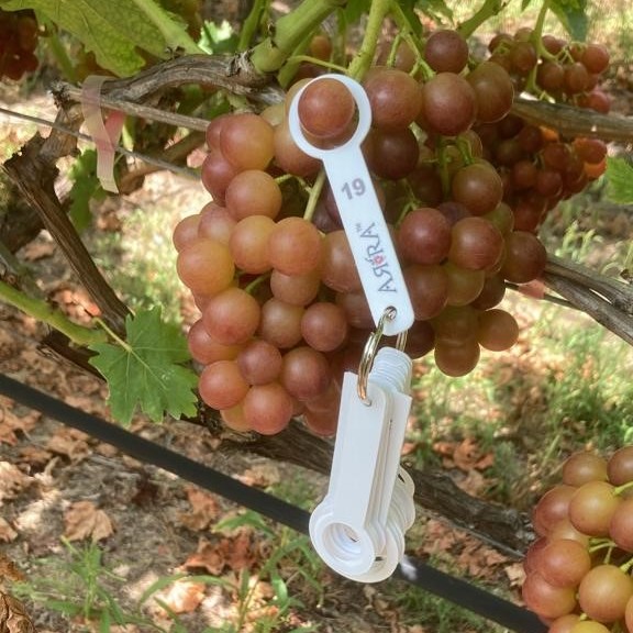 Jupiter Group tweet media