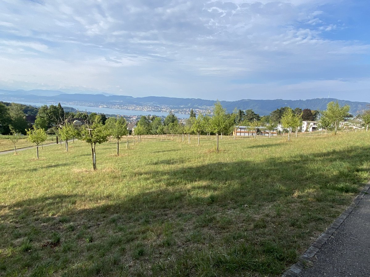 t_hersche's tweet image. Zürich at it’s best #Zurich