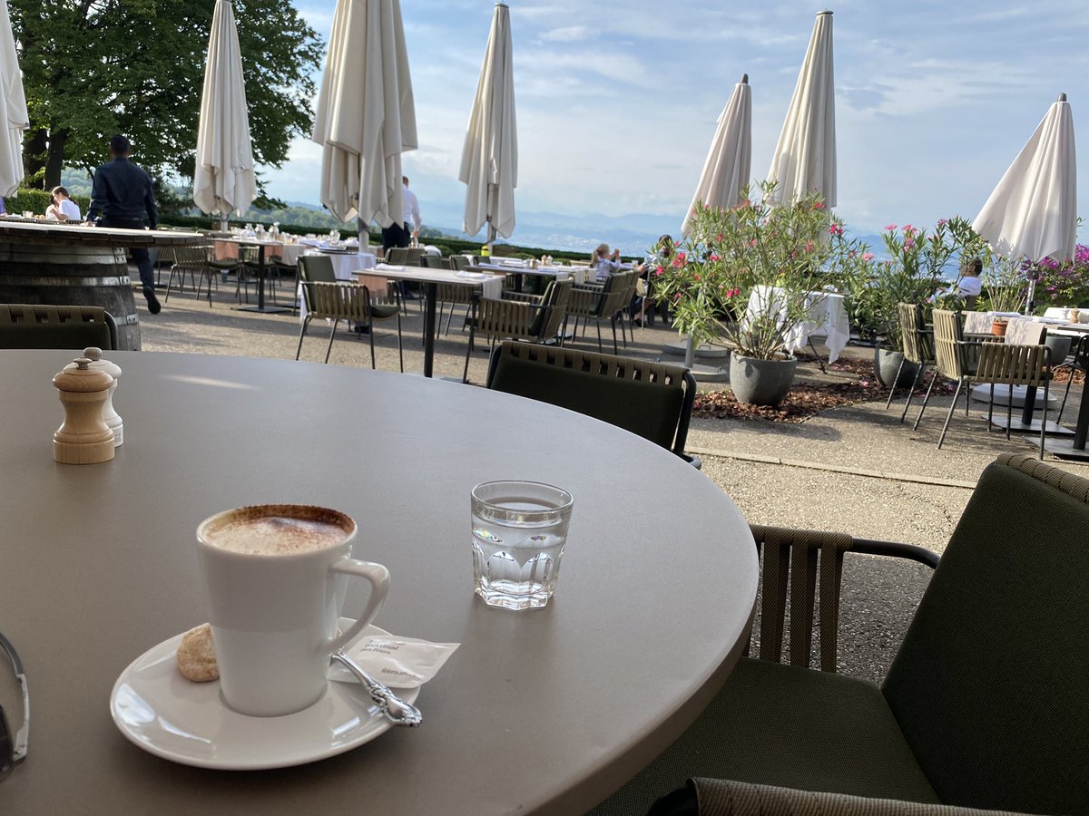 t_hersche's tweet image. Zürich at it’s best #Zurich