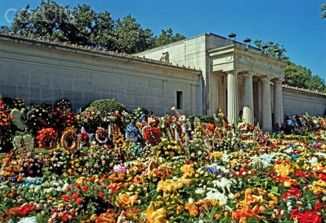 AboutElvis's tweet photo. ON THIS DAY
August 17, 1977 - The most flowers sold in one day in U.S. history was the day after #Elvis dead... #ElvisPresley #ElvisHistory #Elvis1977 #Elvistheking #Elvis2022 https://t.co/DpCJuqENlu