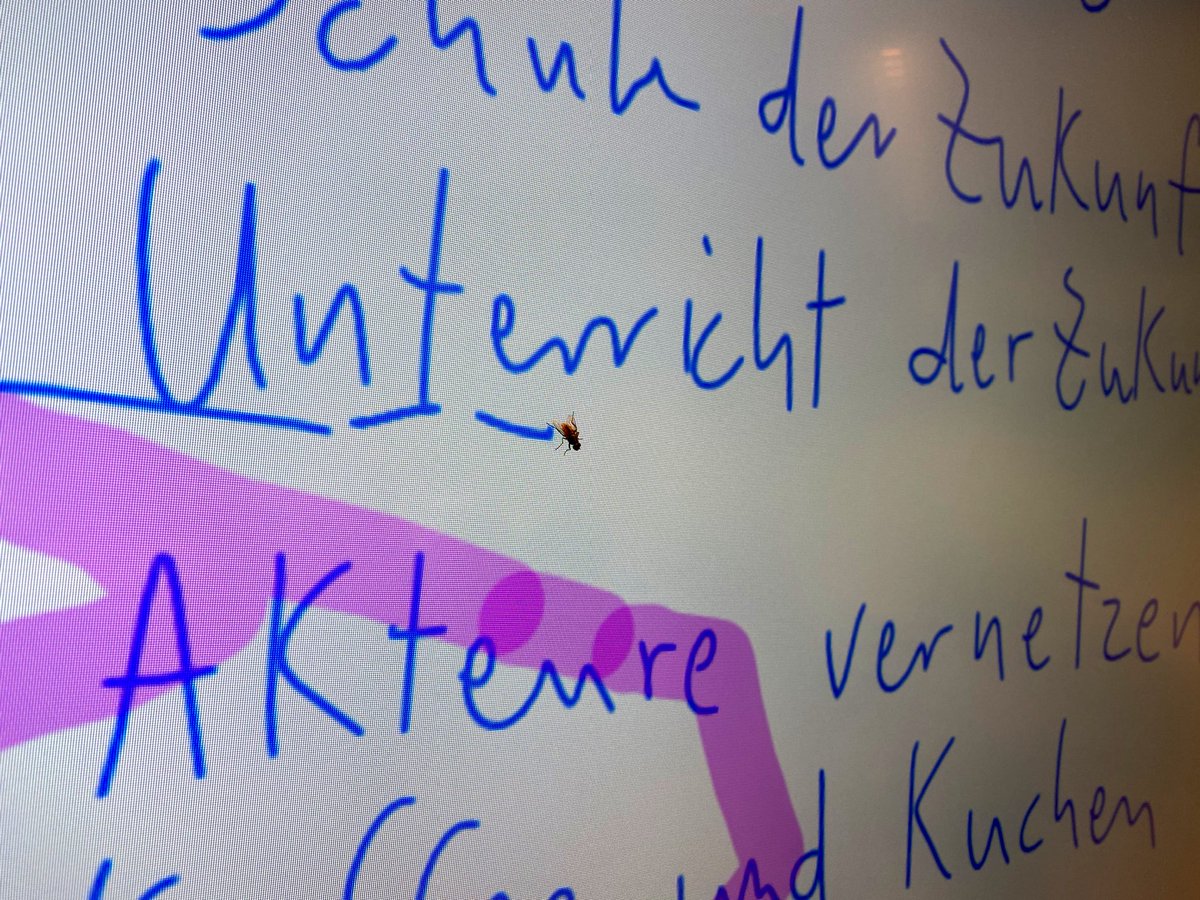 Liebes #twlz, wusstet ihr, dass sogar Fliegen das <a href="/Promethean/">Promethean</a> Board bedienen können?