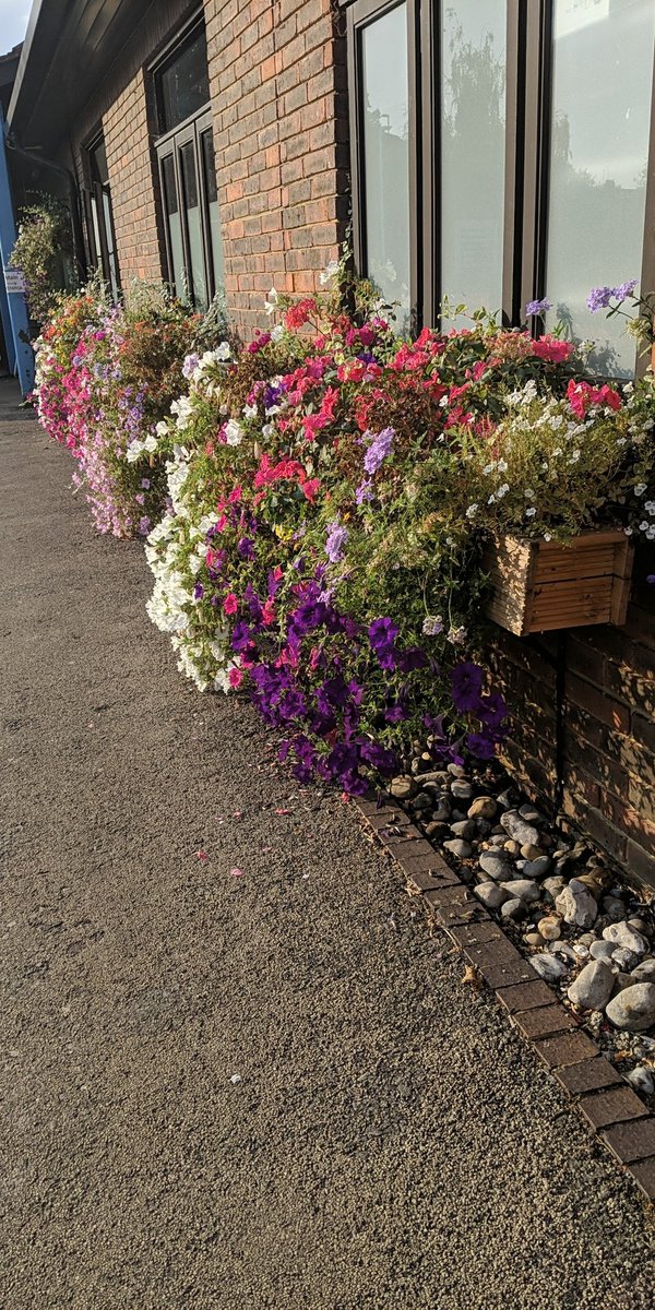 LauraWesOT's tweet photo. Beautiful window boxes at Horsham hospital at the moment. As usual parking in the furthest spot to get a few more steps in! #AHPsActive https://t.co/sE3YOAZg3J