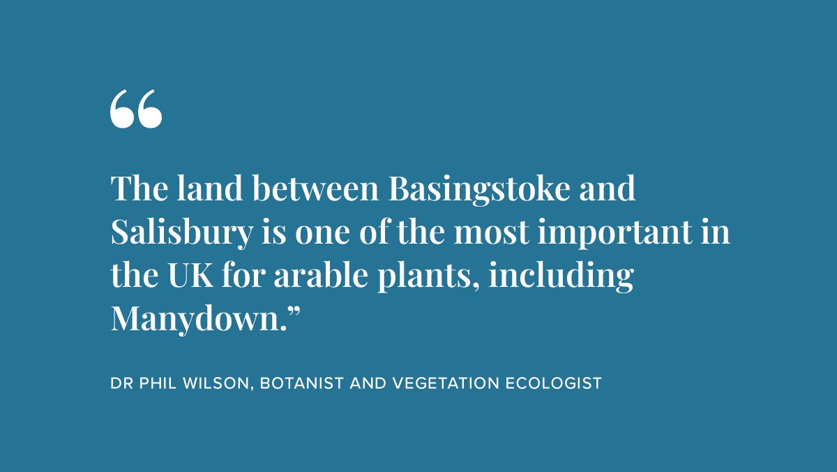 ManydownLife's tweet photo. Increasing access to #nature whilst protecting &amp; enhancing the #environment are vital for the new community at Manydown. We're working with some of the country’s best #ecology experts to improve the #biodiversity at #Manydown. 

Introducing Dr Phil Wilson..https://t.co/rZmYN5Bnrt https://t.co/WGa9Jd0mz1