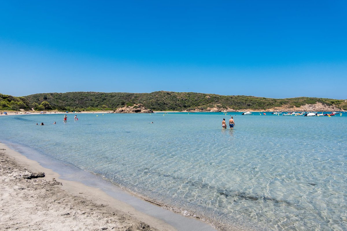 TurismoMenorca's tweet photo. Nuestro recorrido por las playas de #Menorca a las que se llega sin apenas caminar 👣 nos lleva hoy hasta la costa norte. ¡Toma nota!
✔️ ️Es Tancats, Ciutadella
✔️ Es Grau y Sa Mesquida, en Maó 📸
✔️️️Son Saura del Nord,  Es Mercadal
✔️Cala Tirant, Fornells https://t.co/XyFtMyivfs
